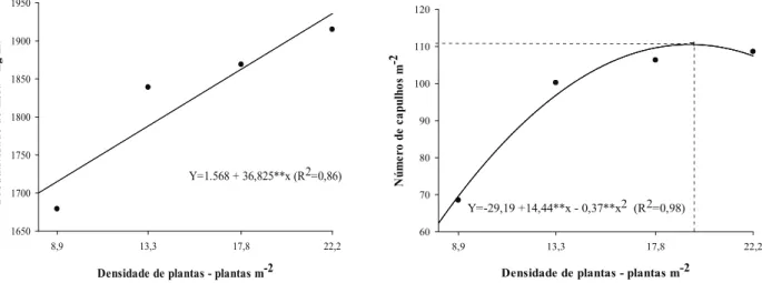 Figura 3. Produtividade de ibra e número de capulhos m -2 , em função da densidade de plantas de algodoeiro, em cultivo adensado  de segunda safra (Montividiu, GO, 2009).