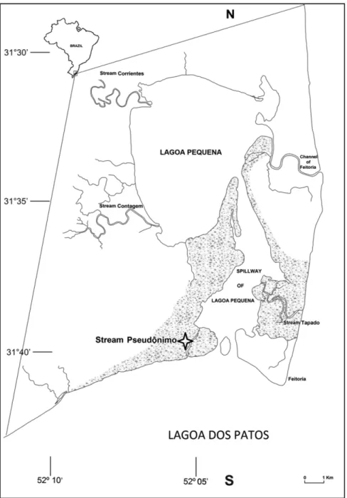 Figure 1. Location of Pseudônimo Stream in southern Brazil.