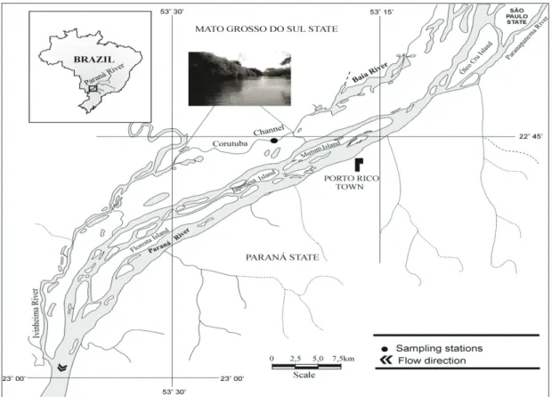 Figure 1. Map showing the location of the sampling station in the Corutuba channel, in the Upper Paraná River  floodplain.