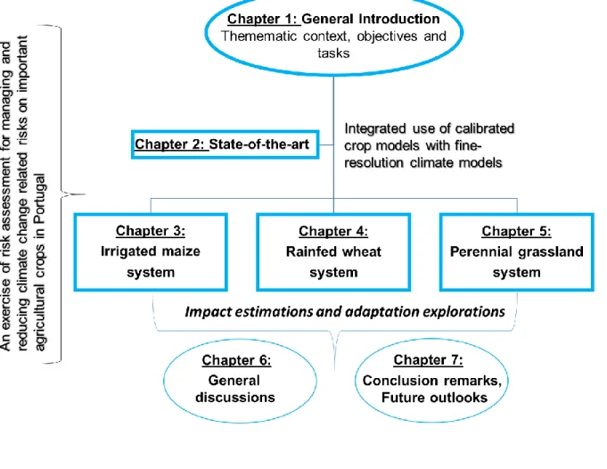 Figure 1. An overview of present PhD thesis structure 