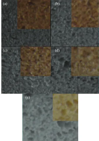 Figura 3. Aceitação global dos pães de forma experimentais,  em função do nível de substituição de farinha de trigo  (FT) por farelo de mandioca seco (FMS), utilizando-se  a seguinte escala hedônica: 1 - Desgostei muitíssimo; 