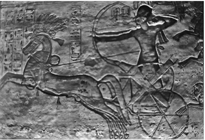 Fig. 51. Ramses II at the battle of Kadesh (Abu Simbel temple) (http://www.pbase.com/chammett/