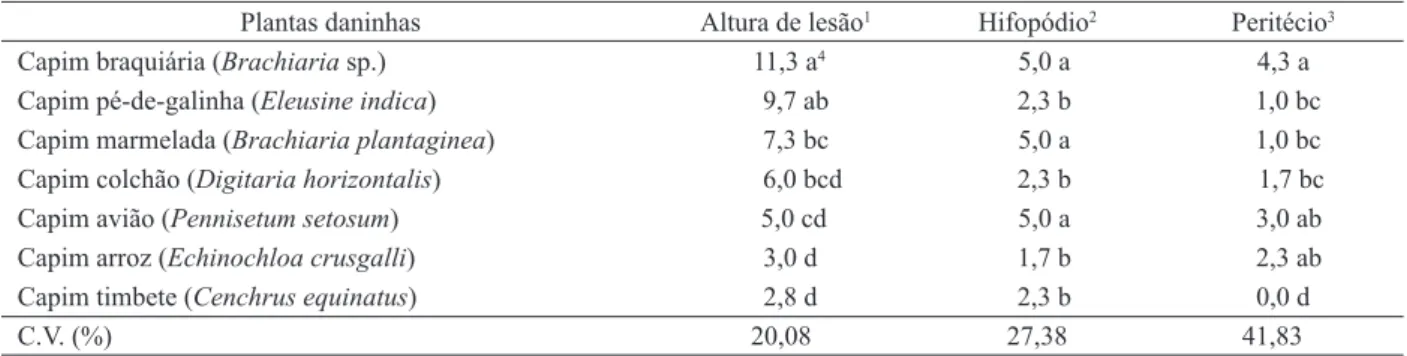 Tabela 1. Reação de plantas daninhas inoculadas com G. graminis var. graminis proveniente de plantas de arroz (Santo Antônio de  Goiás, GO, 2005).