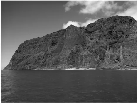 Figure 4.  High cliffs of Cabo Girão.
