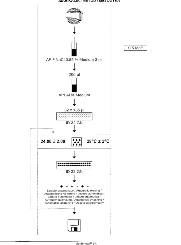 Figura 22. Esquema representativo do procedimento para a identificação de estirpes de bacilos Gram  negativo, utilizando galerias ID 32 GN (bioMérieux)