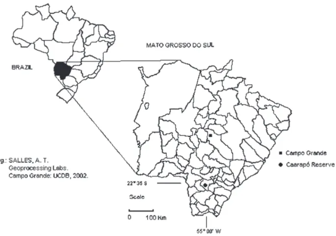 Figure 1. Location of Kaiowá and Guarani populations in the Caarapó Reserve, Mato Grosso do Sul state.
