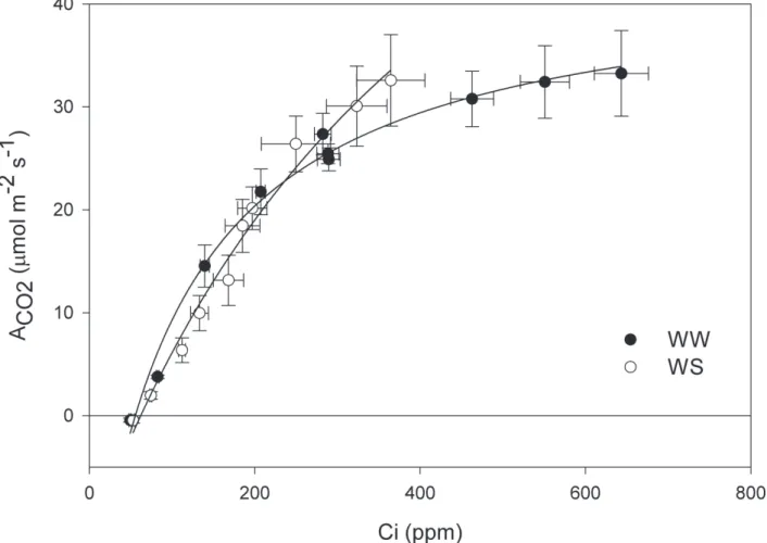 Figure 3. Mean values of net CO 2  assimilation rate in control (black symbols) and water stressed (white  symbols) plants of castor bean at different internal CO 2  concentrations