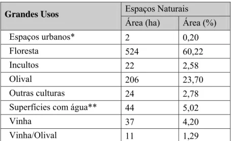 Gráfico 4.2. Ocupação e uso do solo – Espaços naturais 