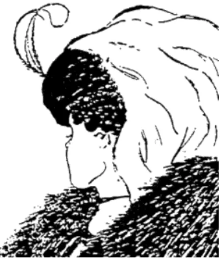 Figure 13. Jeune fille – vieille dame de Boring 201