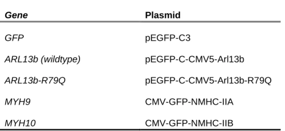 Table 3.1 – DNA overexpression plasmids used for MDA-MB-231 transfection 