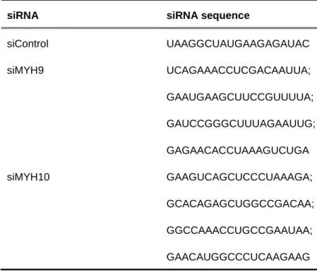 Table 3.2 – Sequences of siRNAs used for gene silencing 