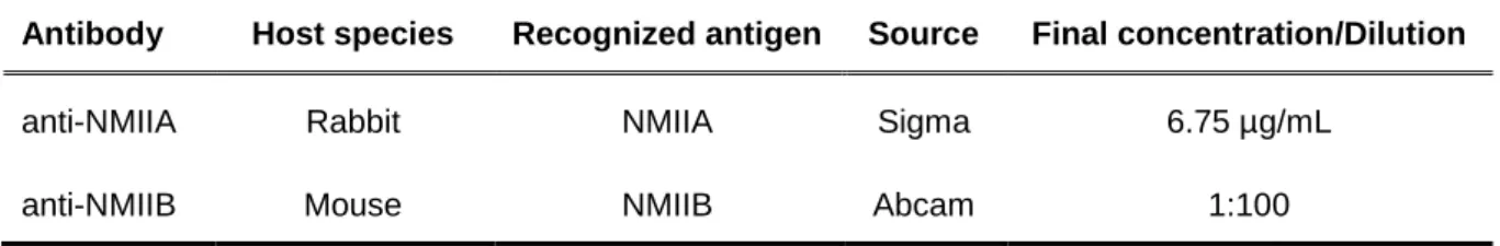 Table 3.5 – Secondary antibodies used for immunofluorescence 