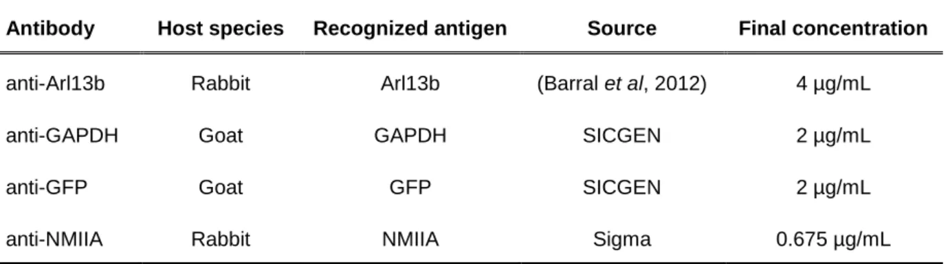 Table 3.7 – Secondary antibodies used for immunoblotting 