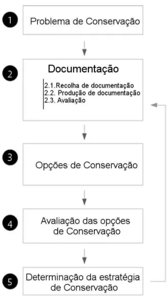 Figura 1. Modelo para tomada de decisão em conservação. 