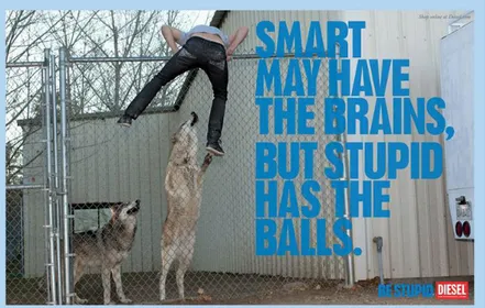 Figura 10: Diesel – “Smart may have the brains, but stupid has the balls” 