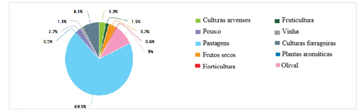 Figura 5. Distribuição da área em MPB por tipo de cultura, em Portugal continental, em 2015 (DGADR,  2017)