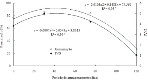 Figura 1. Percentagem de germinação e Índice de Velocidade de Germinação (IVG) de sementes de Palmeira Real Australiana sem  despolpamento, armazenadas por diferentes períodos (Campos dos Goytacazes, RJ, 2005/2006)