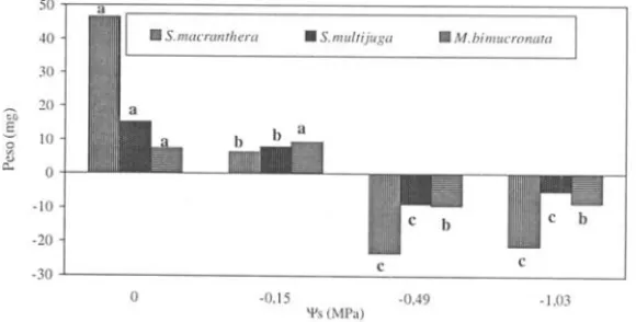 Figura 4.  Efeito do  PEG  6000  sobre  o  peso de  plântulas  de Senna  macranrhera,  S