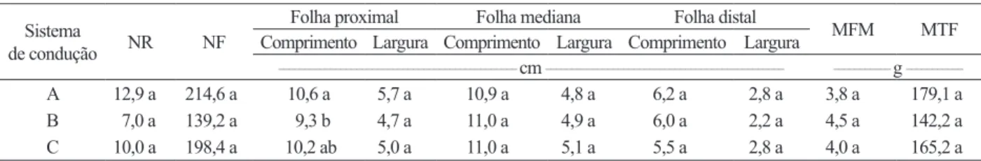 Tabela 1. Número de ramos terciários por planta (NR), número de folhas colhidas por planta (NF), médias de comprimento e largura das  folhas proximal, mediana e distal do ramo, média da massa da folha mediana (MFM) e massa total de folhas por planta (MTF) 