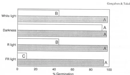 Figure 2. Effect oflight quality treatment on seed germination of  Raphanus sativus L