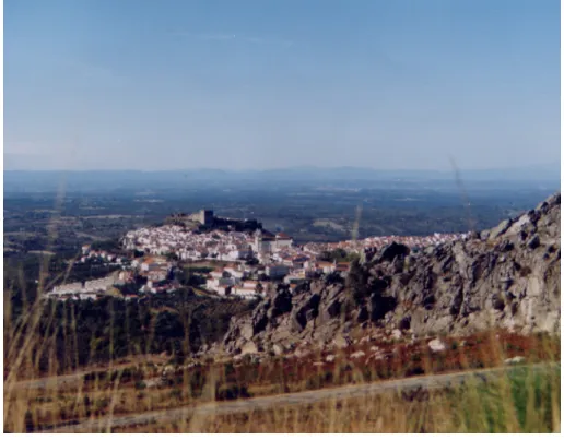 Figura 2 - Vista geral de Castelo de Vide  Fonte: Própria 