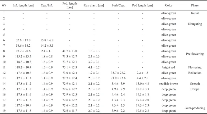 Table 1. Morphometrical variables (mean ± SD) and color of the buds, infl orescences, capitula, fl owers, and pods during the different developmental phases of Parkia  pendula (Willd.) Walp