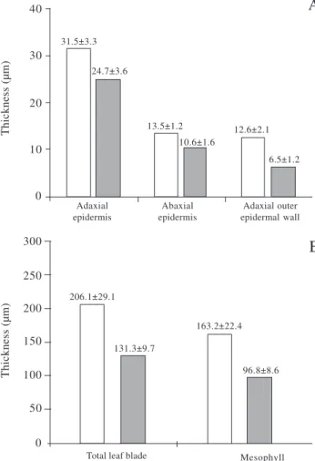 Figure 1. Leaf anatomy traits of sun-exposed (dotted bars) and shaded plants (striped bars) of Andira legalis (Vell.) Toledo (n = 25, for each sub-population)