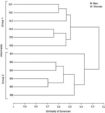 Figure 1. Analysis of similarity of knowledge regarding the use of plant resources  among the informants of the Praia do Sono Caiçara community.