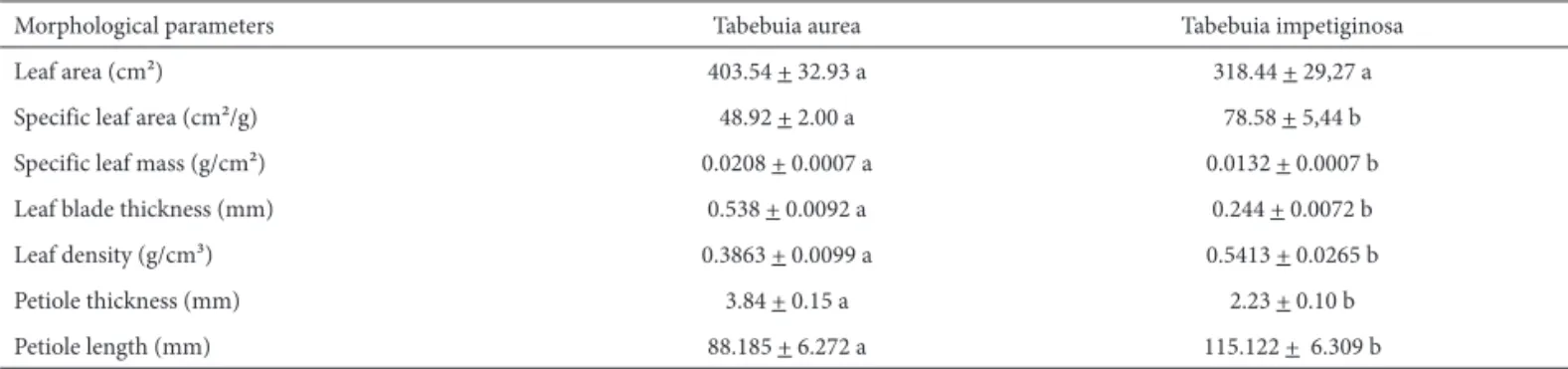 Table 1. Leaf morphological parameters of Tabebuia aurea and T. impetiginosa. Different lowercase letters indicate differences between the two species according  to Tukey’s test (P &lt; 0.05)