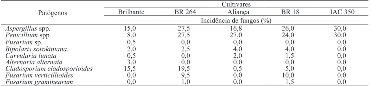 Tabela 1. Percentagem de incidência de fungos, em sementes de trigo utilizadas na semeadura da safra 2007, no Estado de Mato  Grosso (Cuiabá, MT, 2007)
