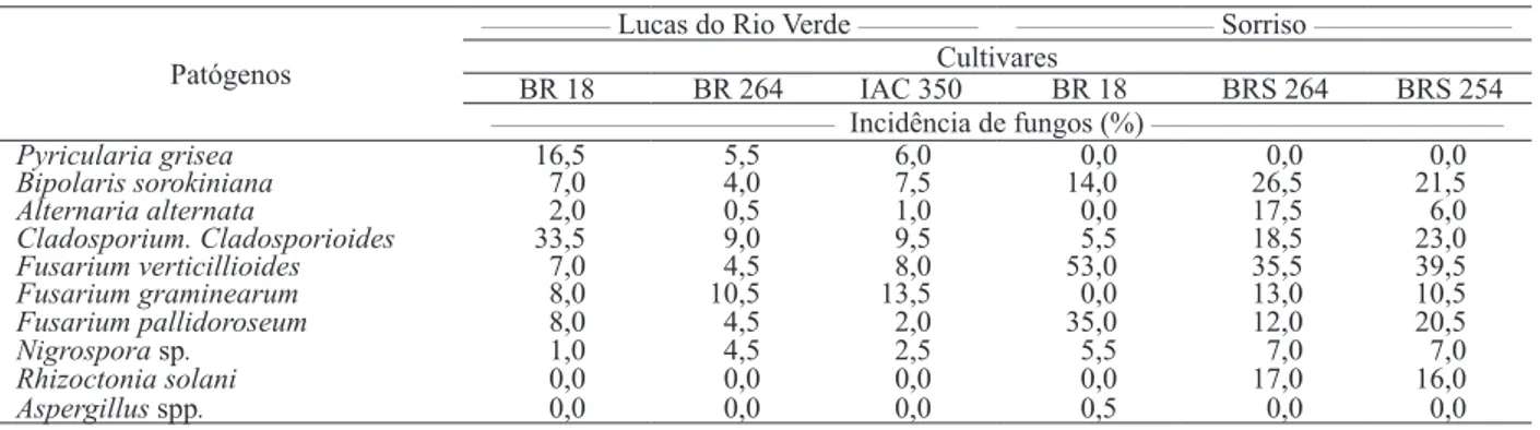Tabela 4. Percentagem de incidência de fungos, em sementes de trigo cultivadas sob irrigação, nos municípios de Lucas do Rio  Verde e Sorriso (Cuiabá, MT, 2007).