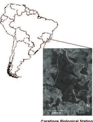 Figure 1. Location of the Caratinga Biological Station, in Minas  Gerais State, Brazil, showing the forest preservation  area in the matrix of pastures characteristic of the region  (Digital Globe image, September 30 th , 2005).