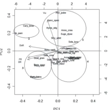 Figure 1. Principal component analysis of 34 useful species cited by residents of  the Itáuna Settlement Project in the municipality of Planaltina, state of Goiás,  Brazil