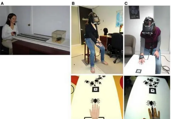 Figure 4 Comparison between in-vivo (on the left), virtual reality (on the middle) and augmented reality (on the  right)