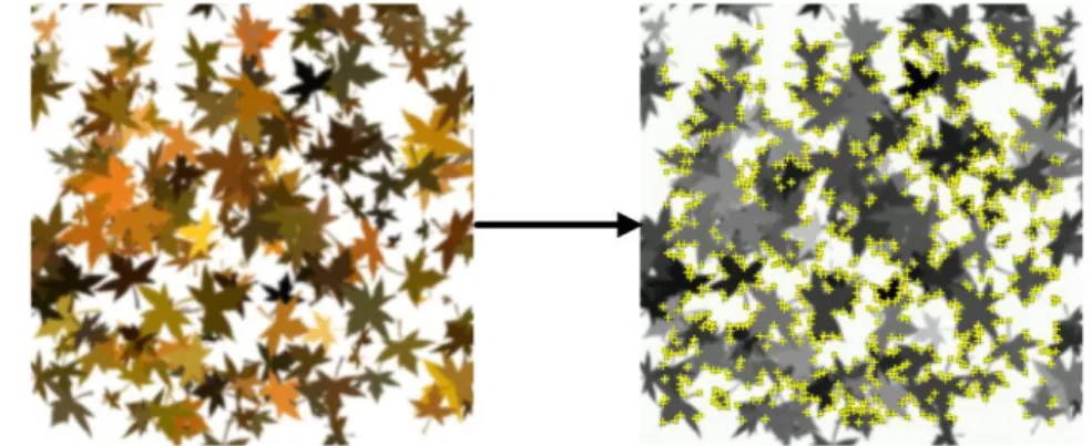 Figure 9 Example of feature (yellow dots) extraction process from a marker. Adapted from [64]  