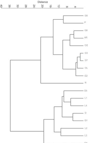Figure 3. Unweighted pair group method with arithmetic mean clustering  of the Helichrysum (Asteraceae) populations and species studied, based on  karyotype data 
