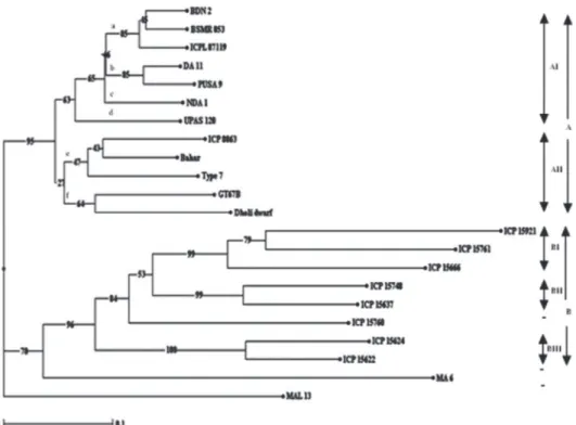 Figure 2. Neighbor-joining tree generated for 22 pigeon pea genotypes using five resistance gene analog-anchored amplified  fragment length polymorphism primer combinations.