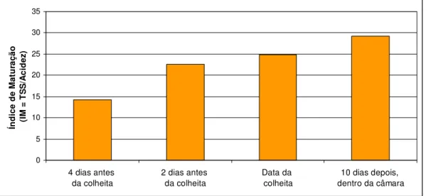 Figura 14 – Variação do índice de maturação na pré  e na pós colheita. 