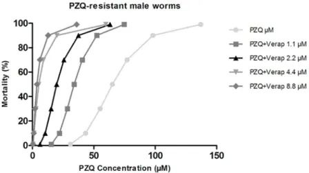 Fig 10. Mortality trends of S . mansoni adult males PZQ-resistant exposed to PZQ in the presence of Verapamil