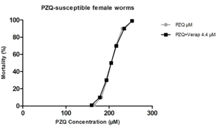 Fig 11. Mortality trends S . mansoni adult females PZQ-susceptible exposed to PZQ in the presence of Verapamil