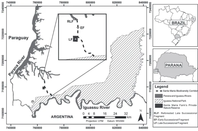 Figure 1. Map showing the three fragments of semideciduous forest studied in the western part of the state of Paraná, Brazil