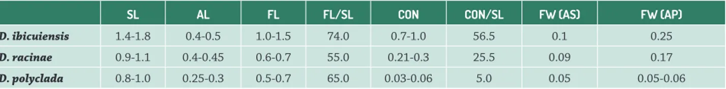 Table 1.  Morphometry of the stamens of Dyckia ibicuiensis,  D. racinae and D. polyclada