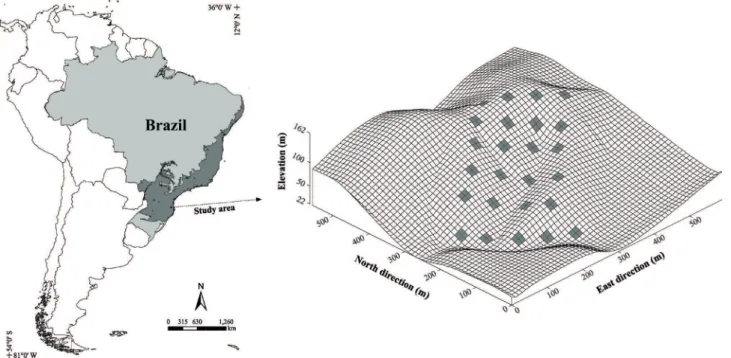 Figure 1.  Location and surface grid showing the topography of the area studied in the RPPN Chácara Edith, Brusque, Santa Catarina,  with the distribution of 25 plots of 20 x 20 m used to sample the vegetation.