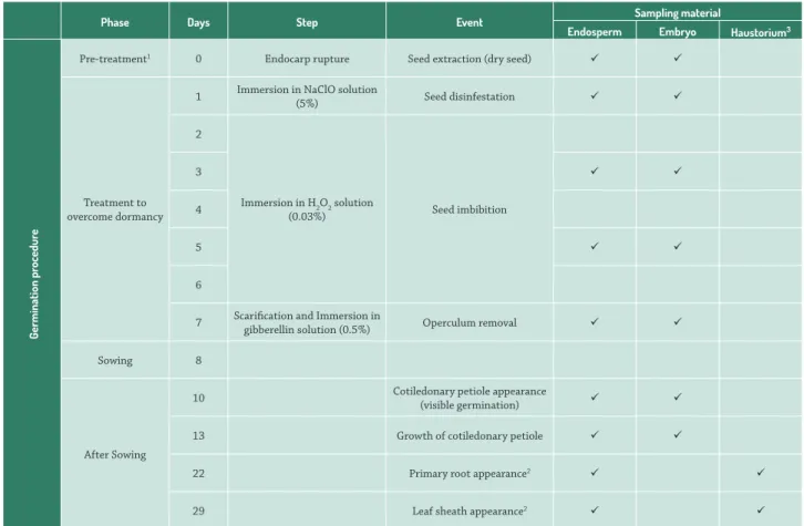 Table 1.  Phases, days, steps and events of sampling during germination procedure of macaw palm seeds (Acrocomia aculeata).
