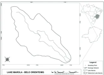 Table 1 synthesizes the water condition during the study  period. Th   e data showed that Marola Lake is currently  eutrophic, with high mean concentrations of N, P and  chlorophyll a