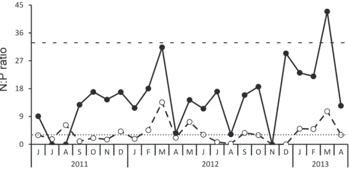 Figure 6.  Temporal variation of DIN:TP (open circles) and TN:TP (closed circles) ratios along the studied period