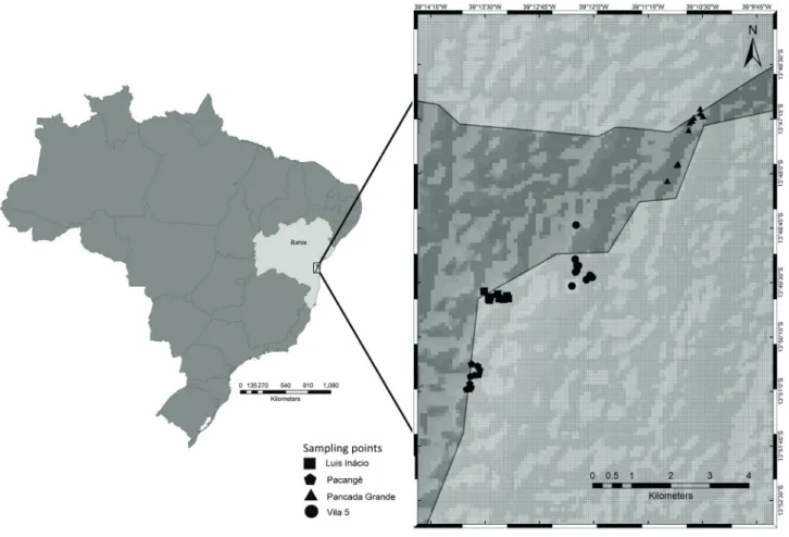 Figure 1.  Location of the Michelin Ecological Reserve in the state of Bahia, Brazil, with the sampling points indicated.