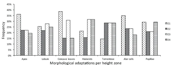 Figure 8.  Distribution of morphological adaptations for water retention and/or conduction along the vertical gradient.