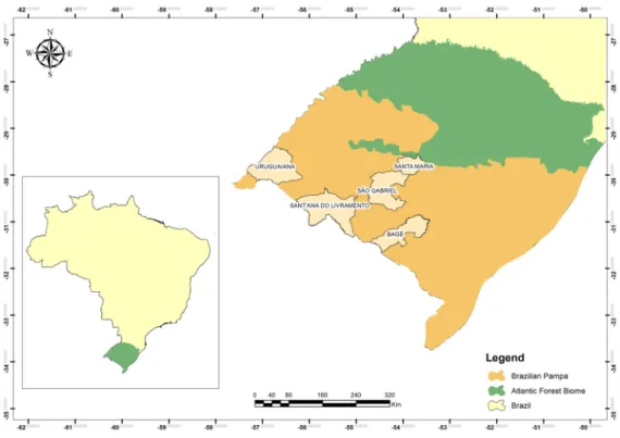 Figure 1. Location of the Brazilian Pampa biome in Southern Brazil and of the five cities where this study was performed.