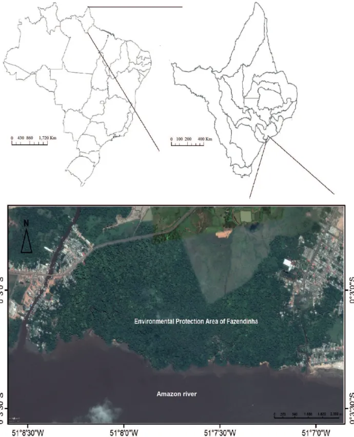 Figure 1.  Fazendinha Protected Area, located on the banks of the River Amazon in the state of Amapá, Brazil.